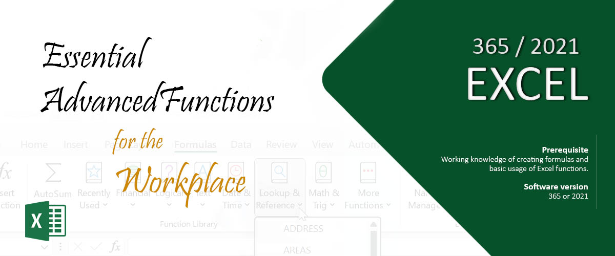 Microsoft Excel Essential Advanced Functions